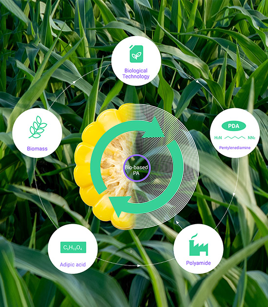 Bio-Based Filaments: Pioneering a Greener Tomorrow